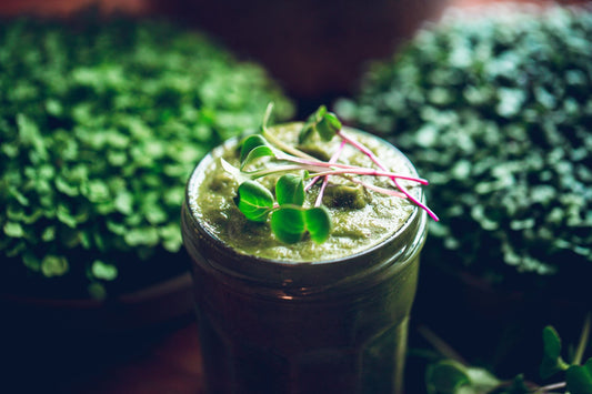 Are microgreens safe to eat?