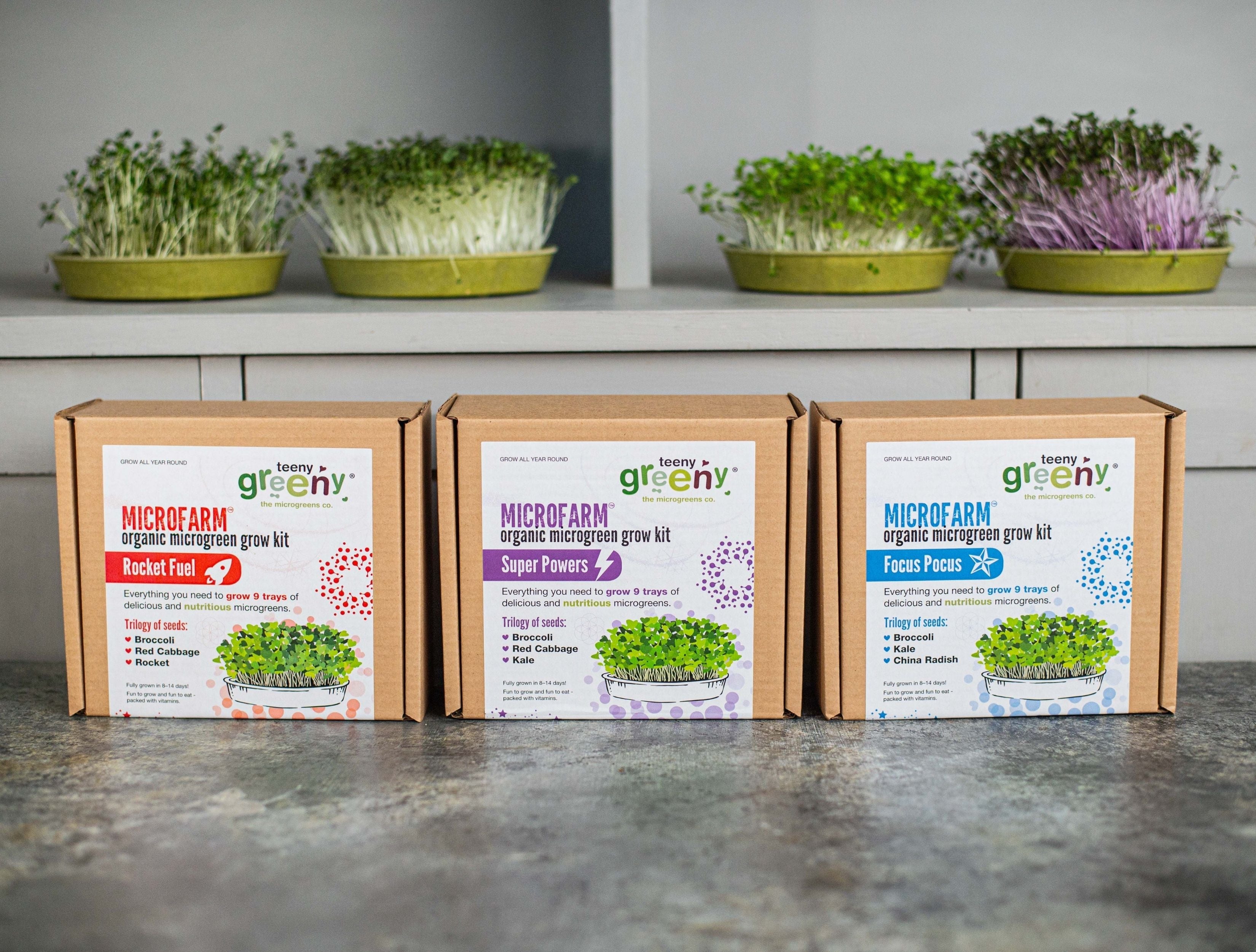 8+ Microgreen Growing Medium Kids Organic Microgreen Grow KIts – www.teenygreeny.co.uk