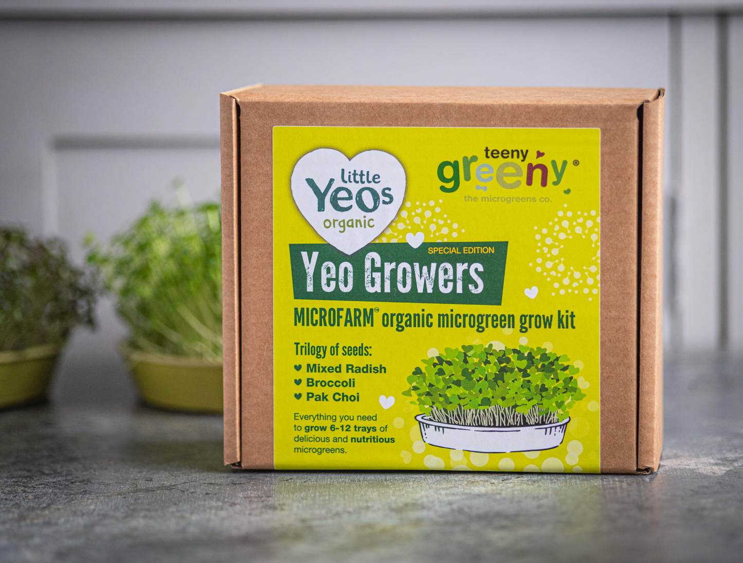 Kids Grow Kit | YEO GROWERS