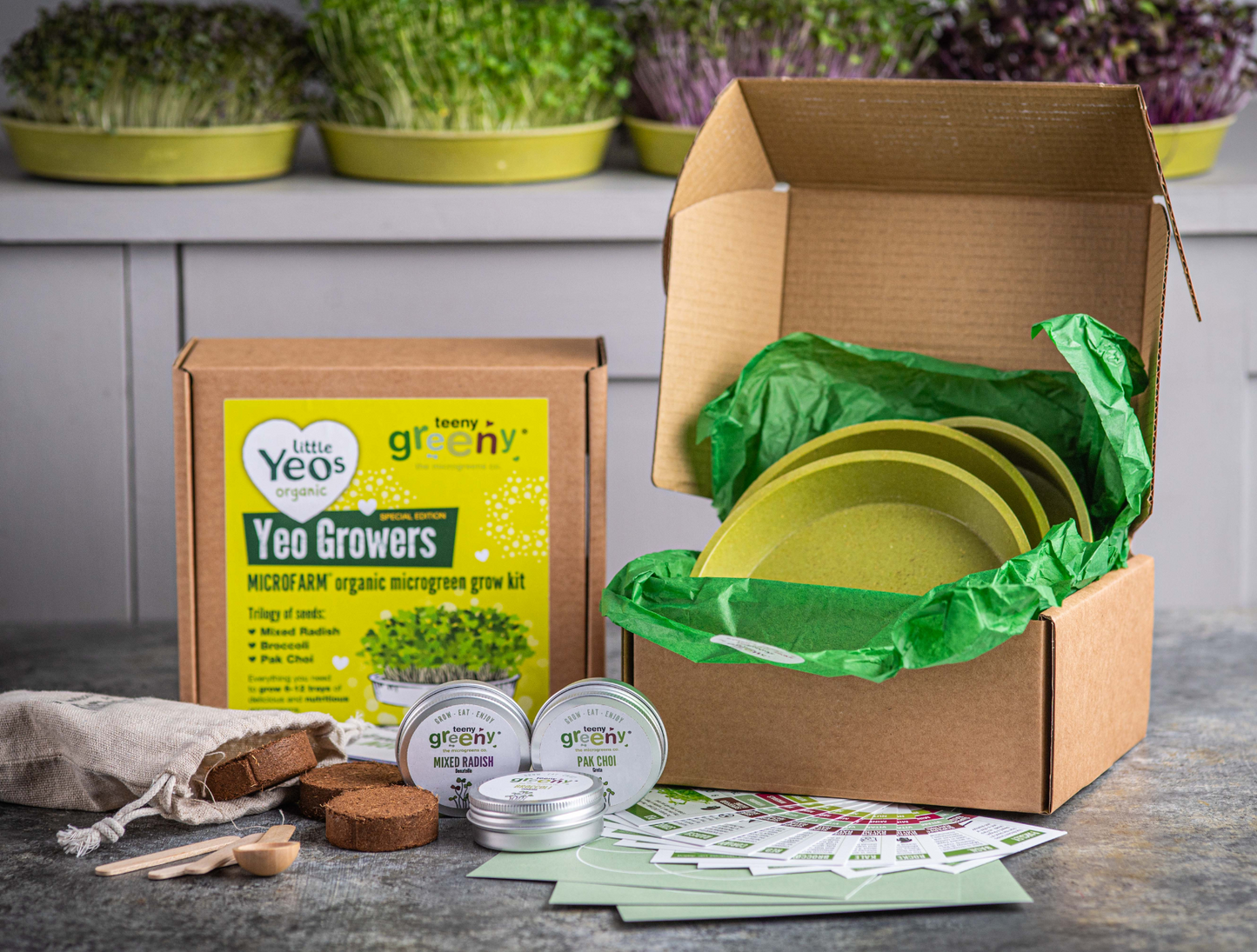 Kids Grow Kit | YEO GROWERS