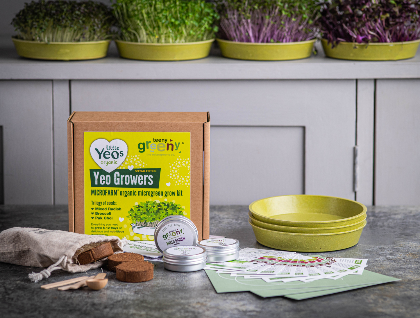 Kids Grow Kit | YEO GROWERS
