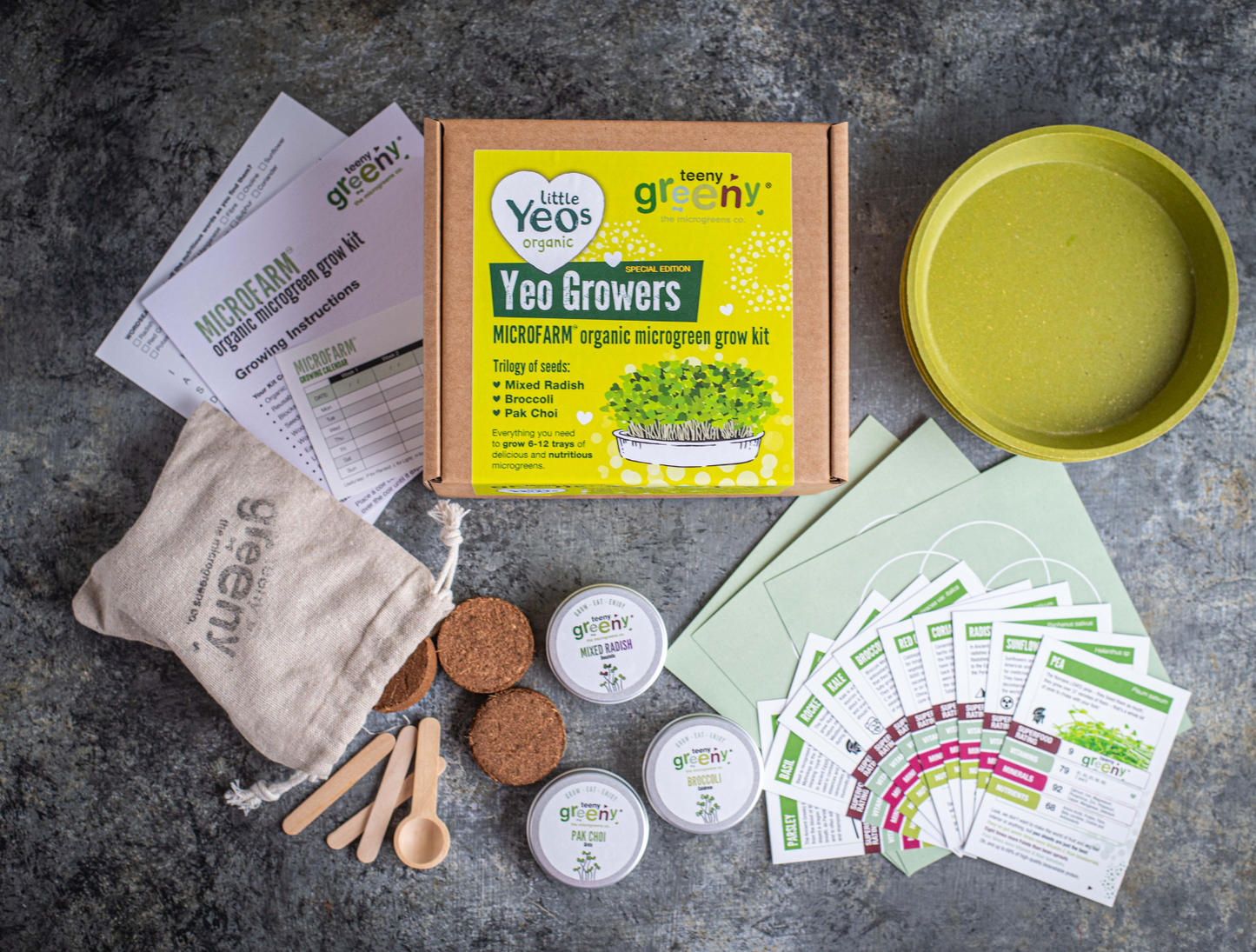 Kids Grow Kit | YEO GROWERS