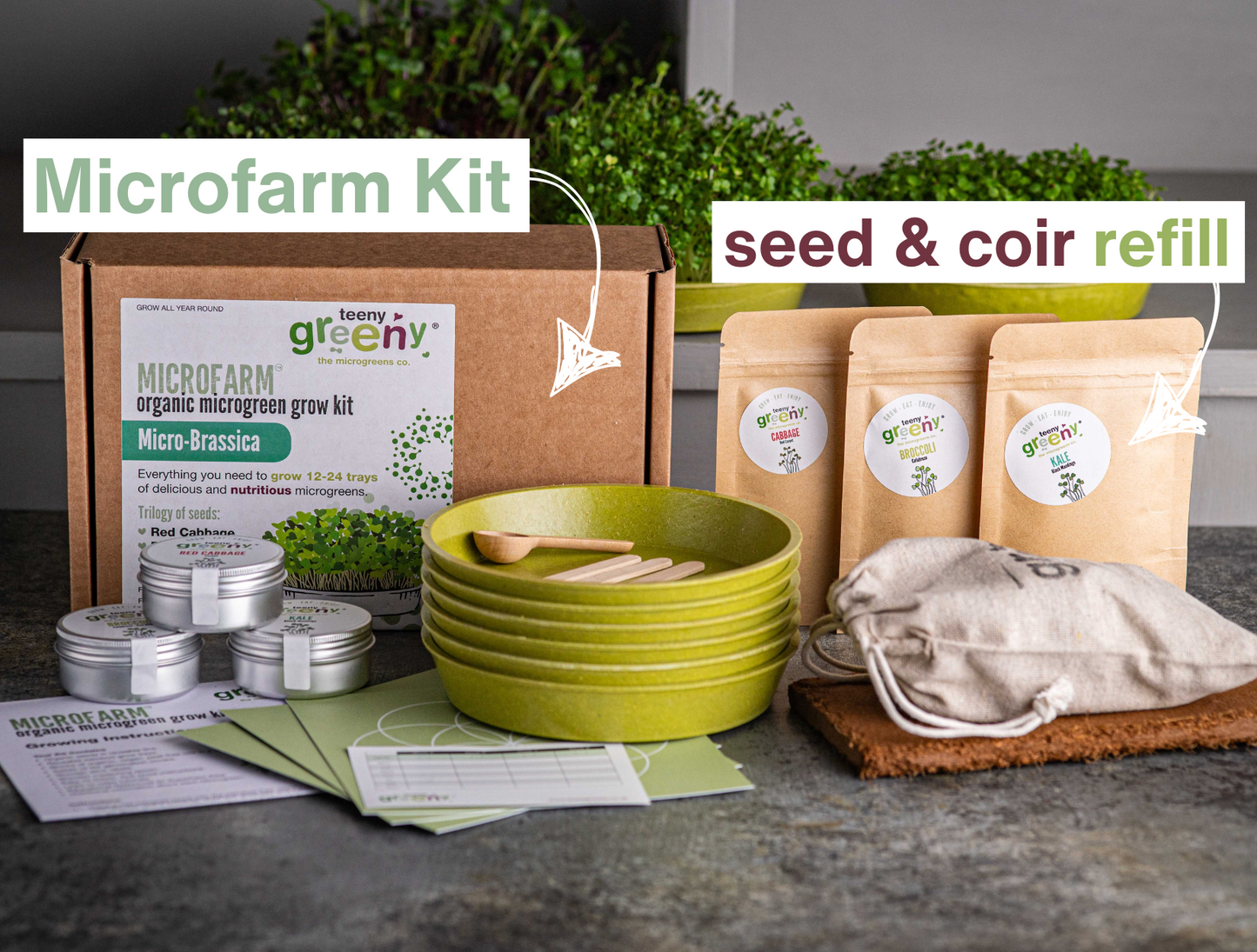 Microgreen Grow Kit | BRASSICA