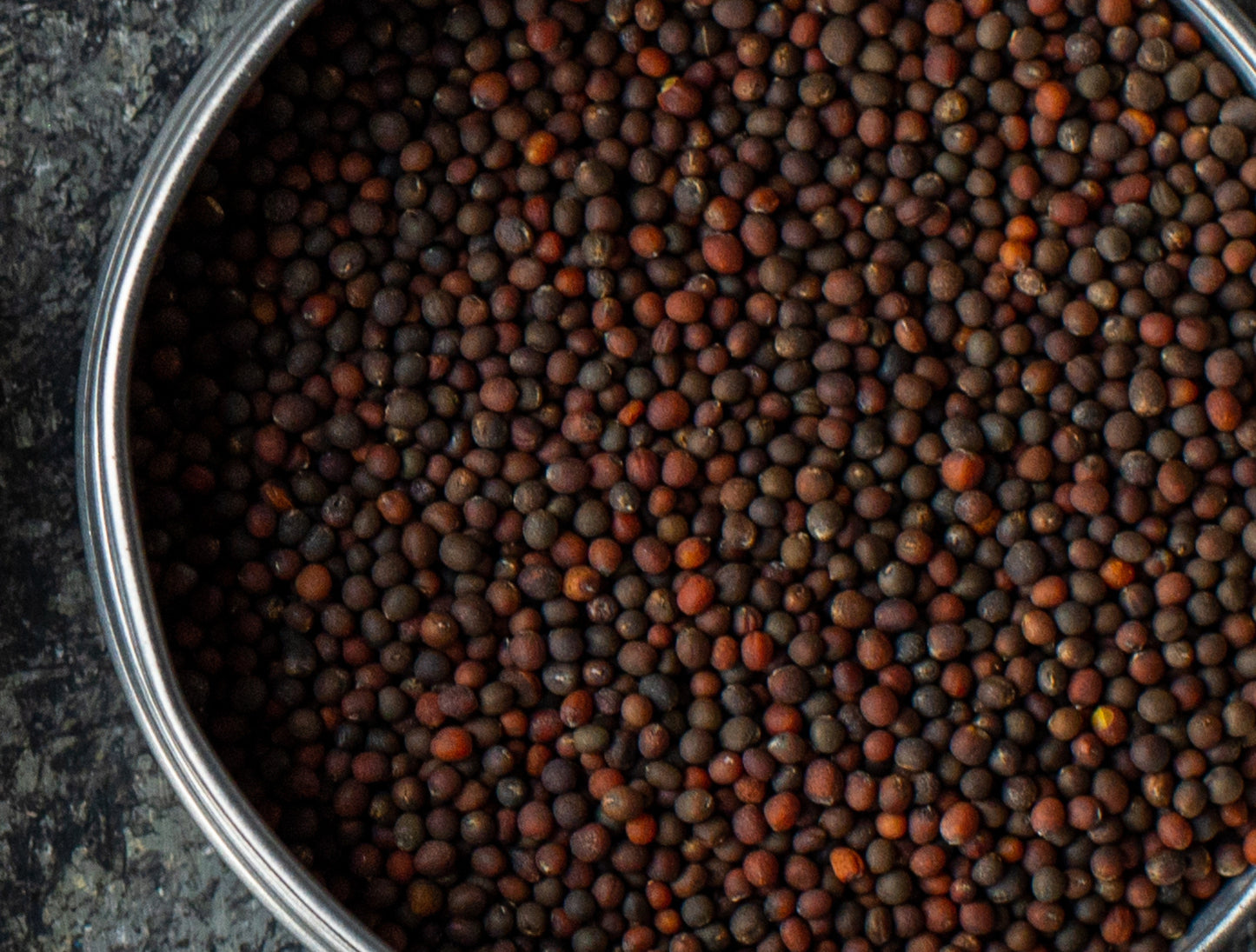 Kale Microgreen Seed Organic