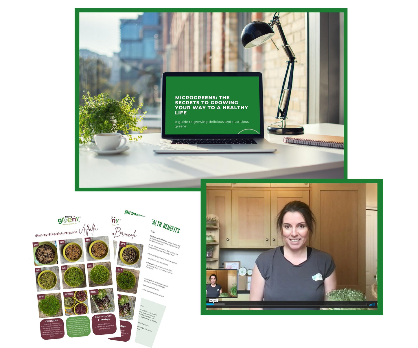 Learn how to grow Microgreens