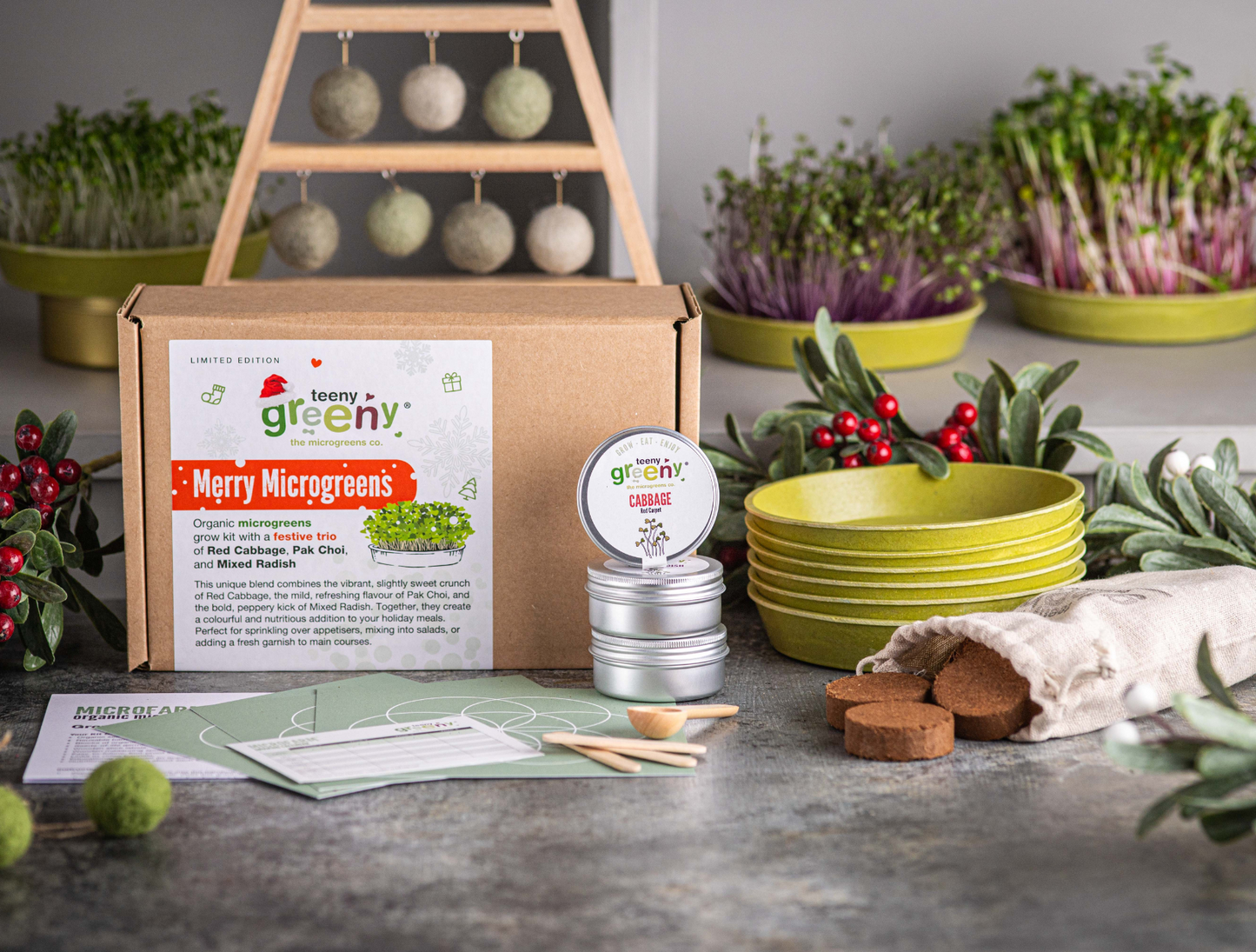 Gifts for gardeners at Christmas