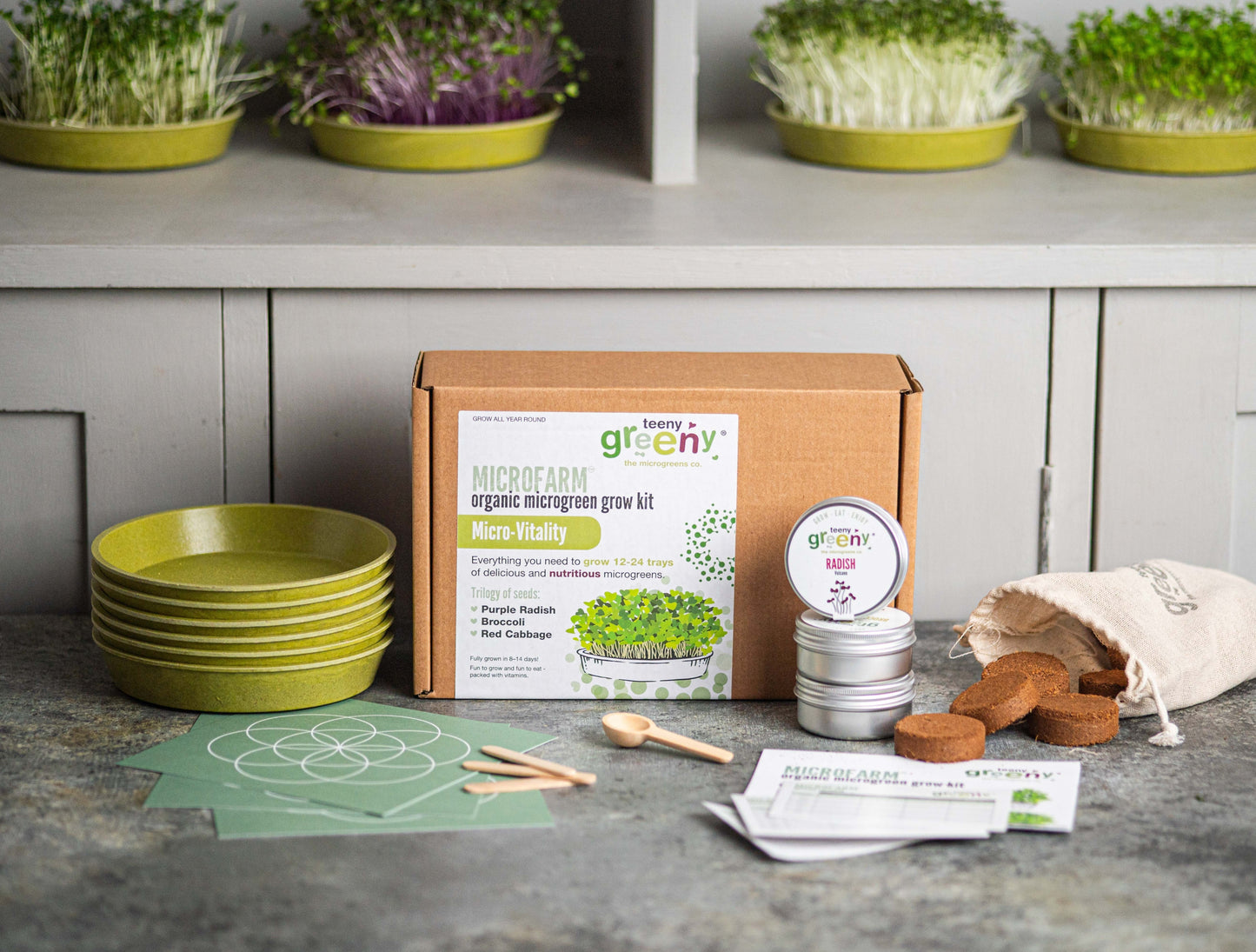 Foodie Gift Collection