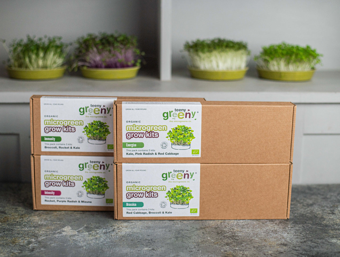 grow you own microgreens set