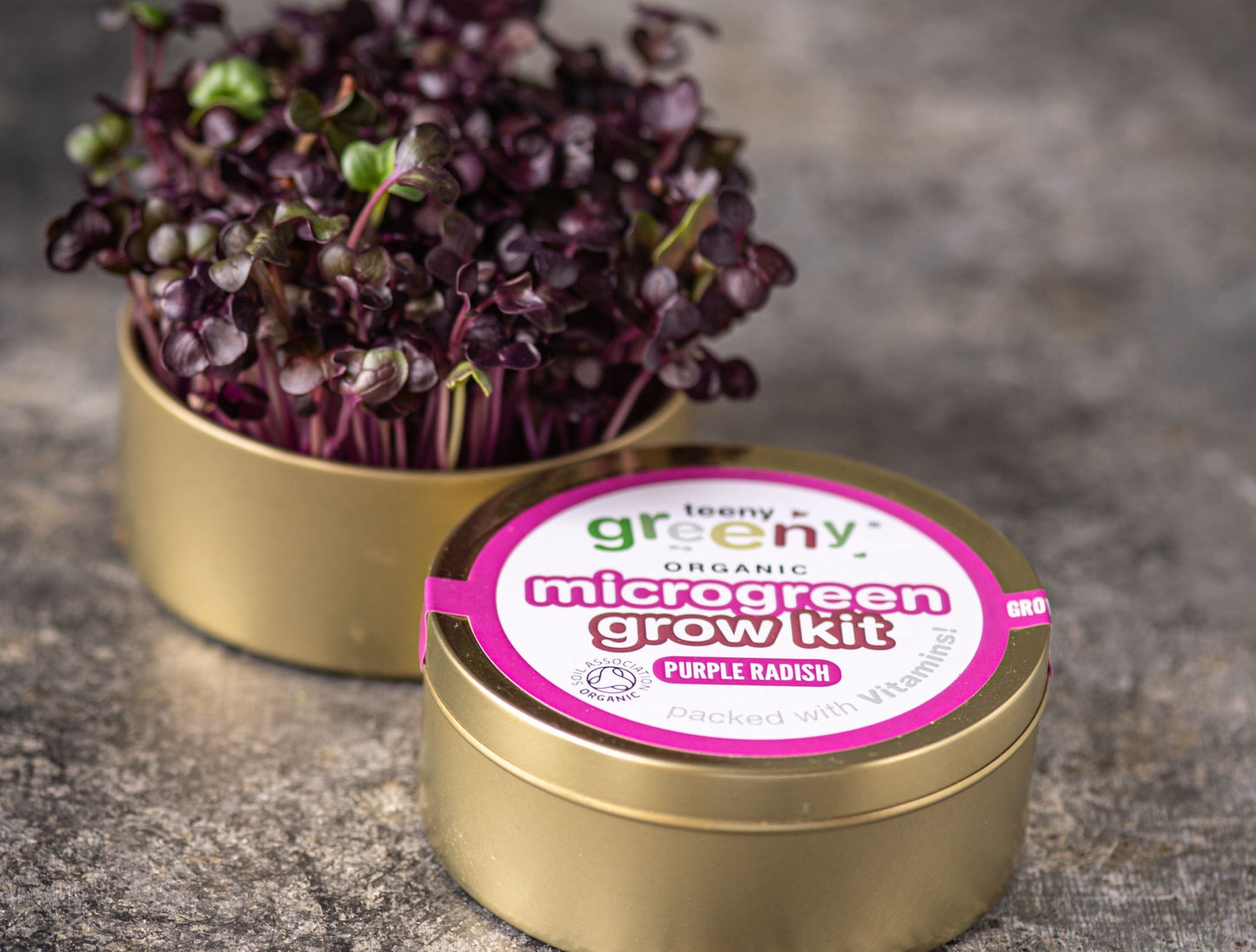 Purple Radish Microgreens