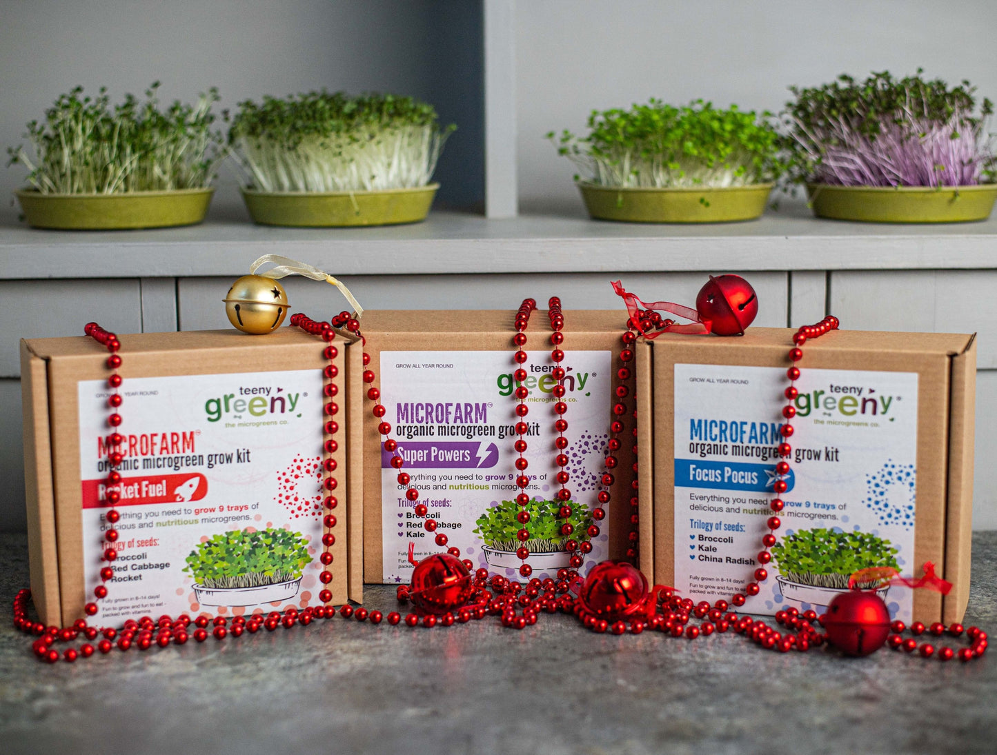 Sustainable Gifts for Children this Year