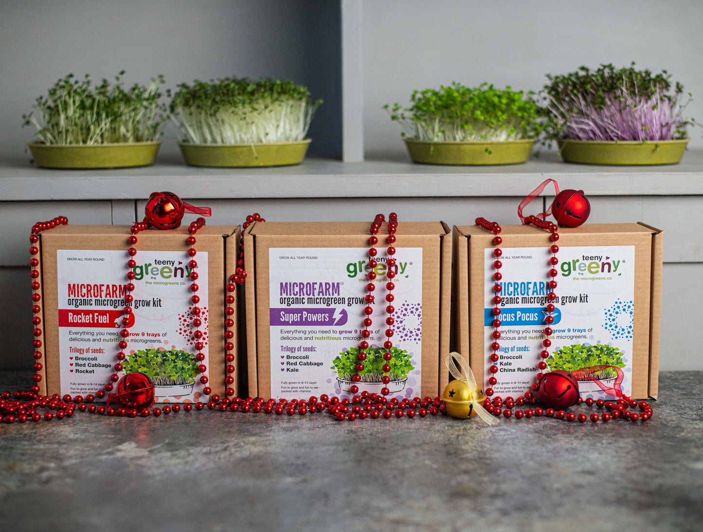 Sustainable Gifts for Children this Year