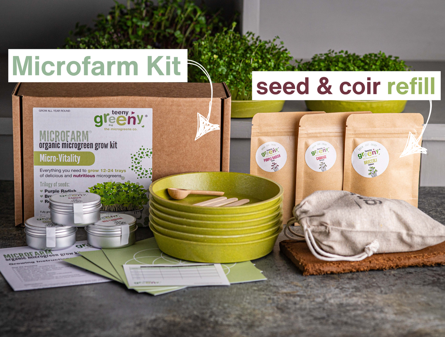 Microgreen Grow Kit | VITALITY