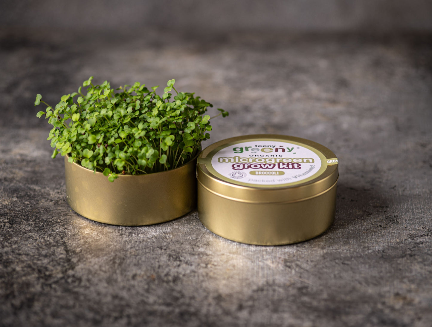 Broccoli Microgreens