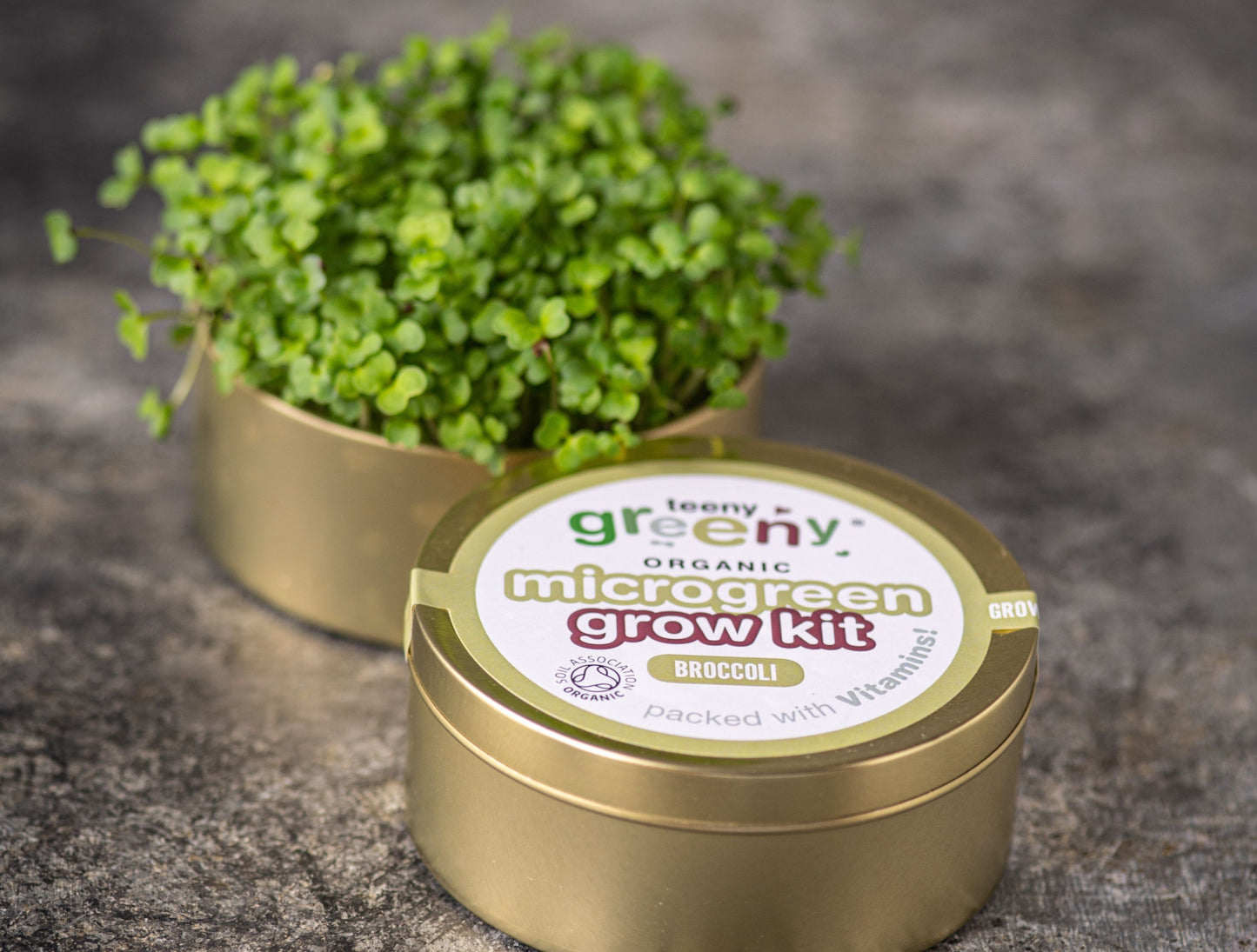 Broccoli Microgreens