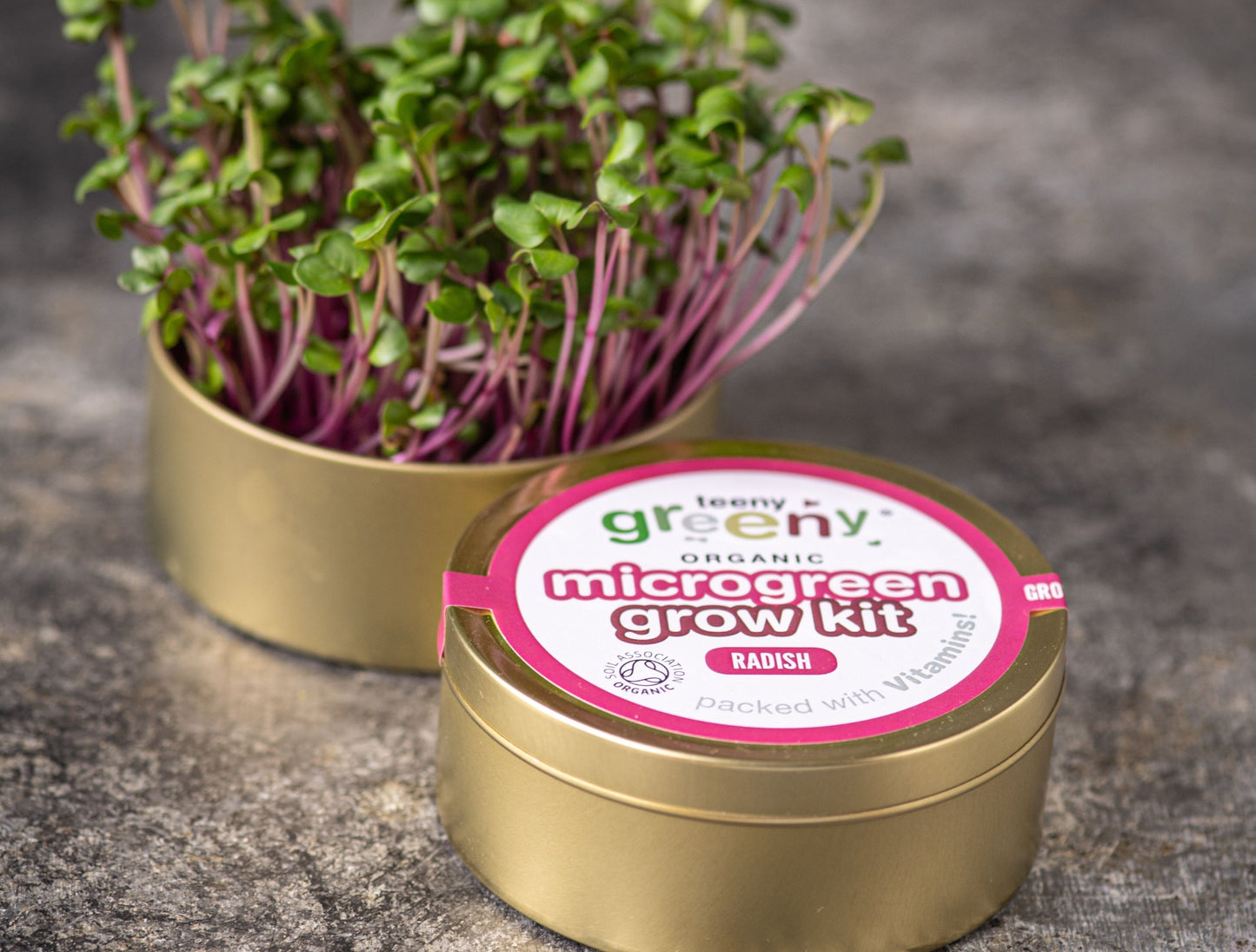 Radish Microgreens