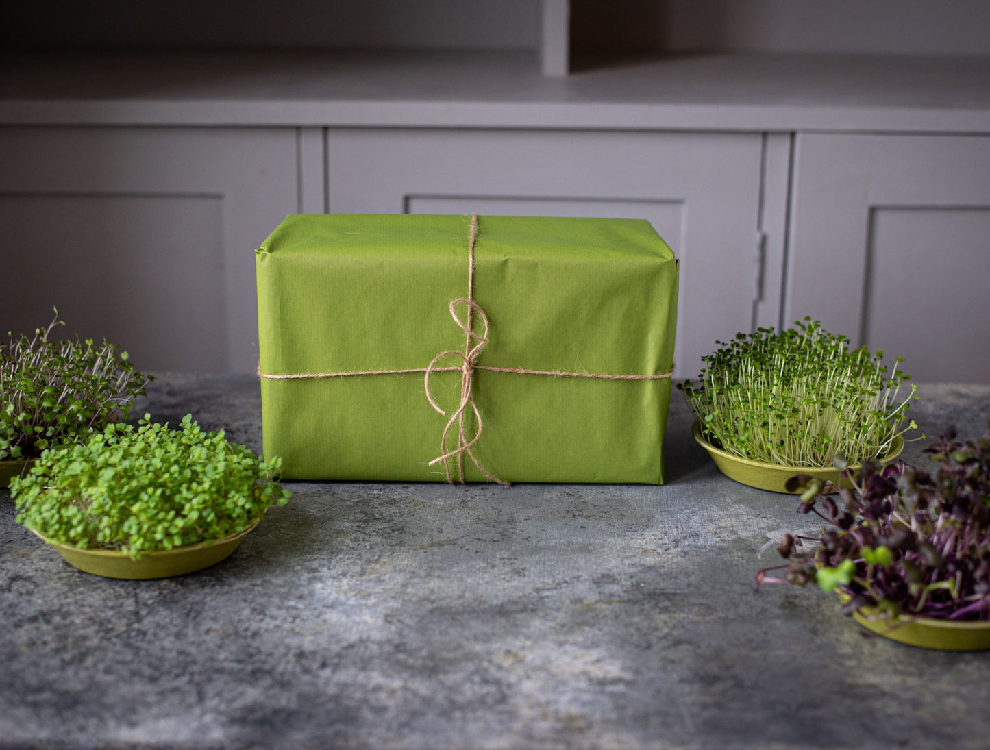 Eco Gifting