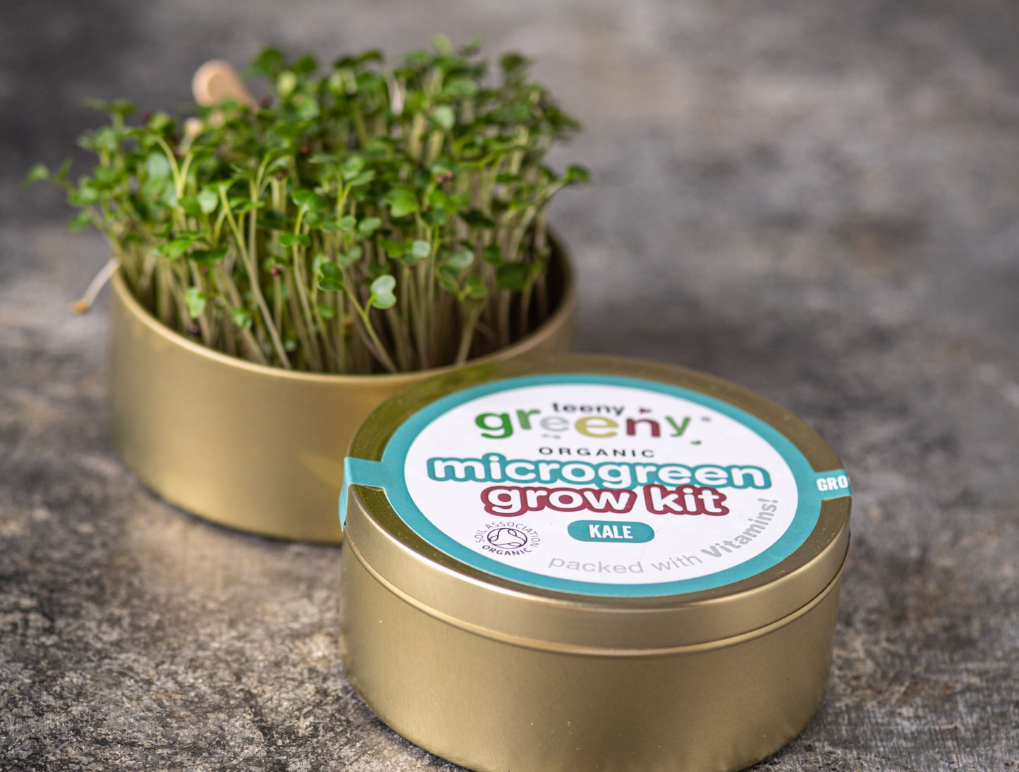 Kale Microgreens