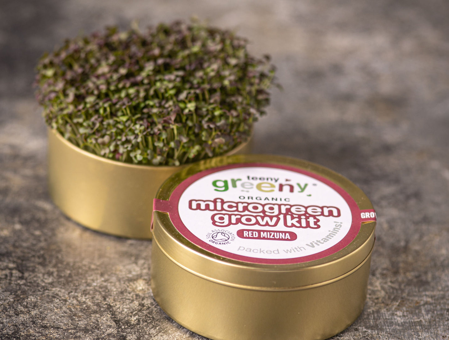 Mizuna Microgreens