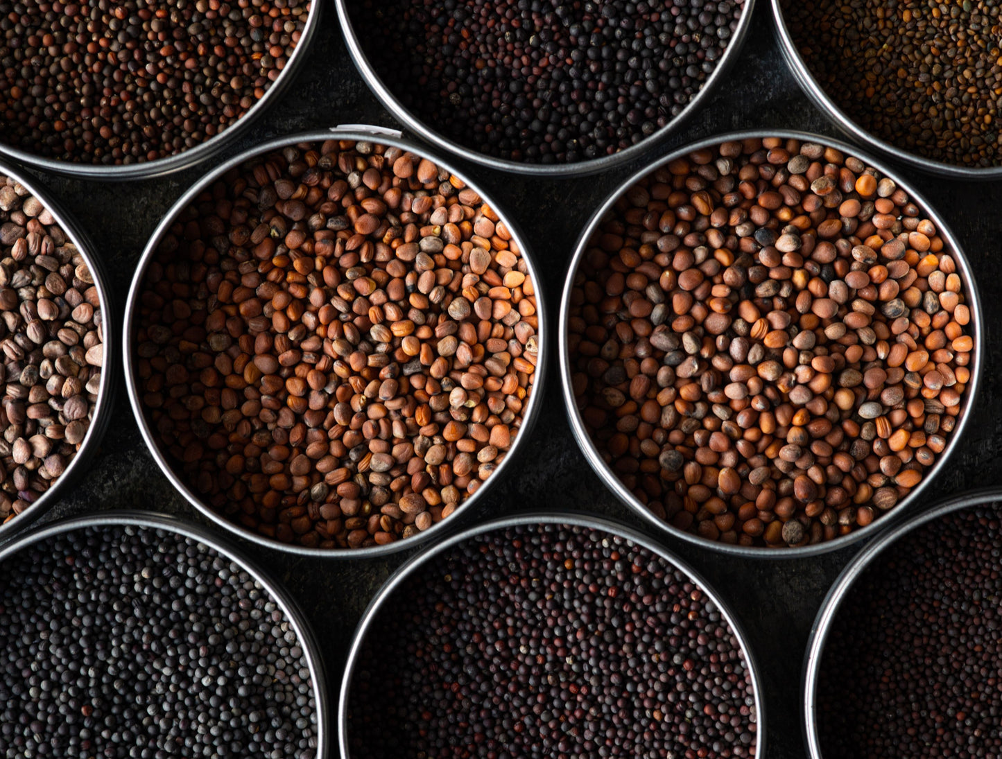 Microgreen seeds