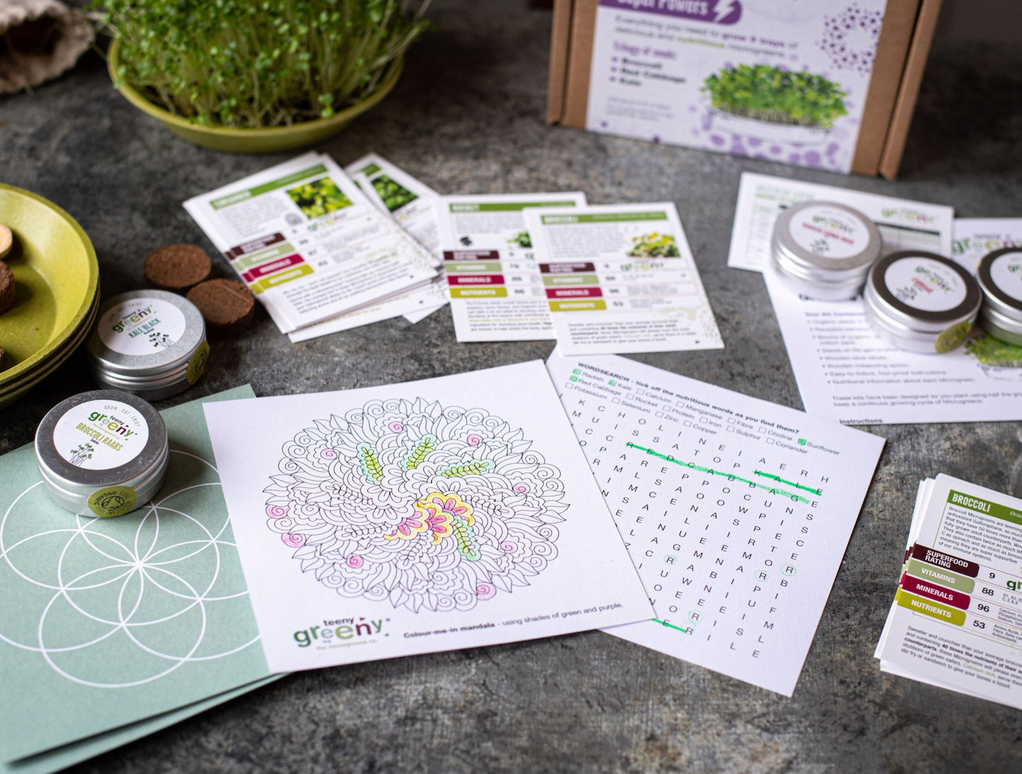 Sustainable Gifts for Children this Year