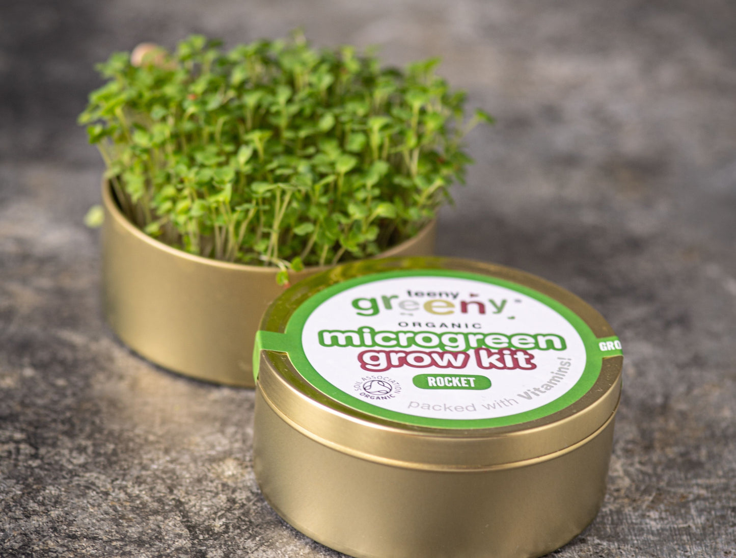 Rocket Microgreens