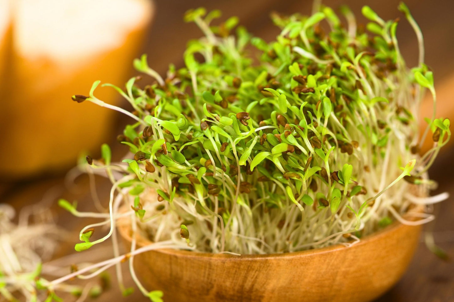 Teeny Greeny alfalfa microgreens growing in wooden bowl with seed husks