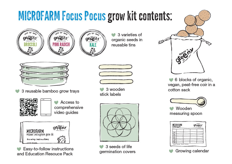 Contents of Focus Pocus Kit
