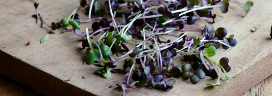 The Power of Microgreens for Gut Health