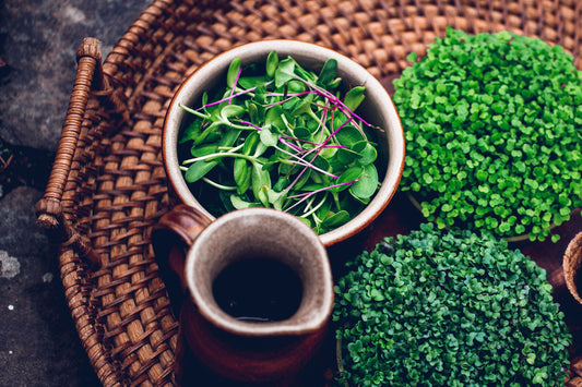 The health benefits of microgreens