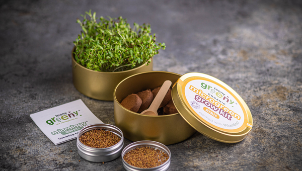 Alfalfa Microgreen Kit