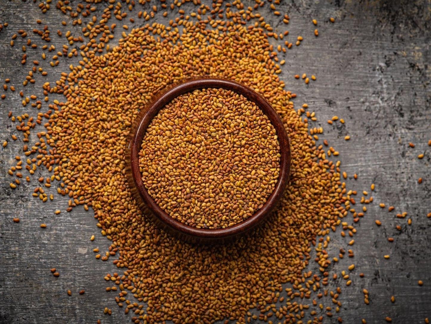 Organic alfalfa microgreen seeds by Teeny Greeny UK