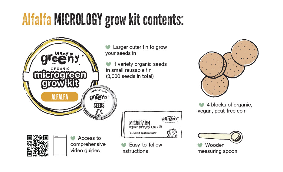 Organic Alfalfa Microgreens