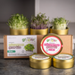 Tin Grow Kit Set | BRASSICA