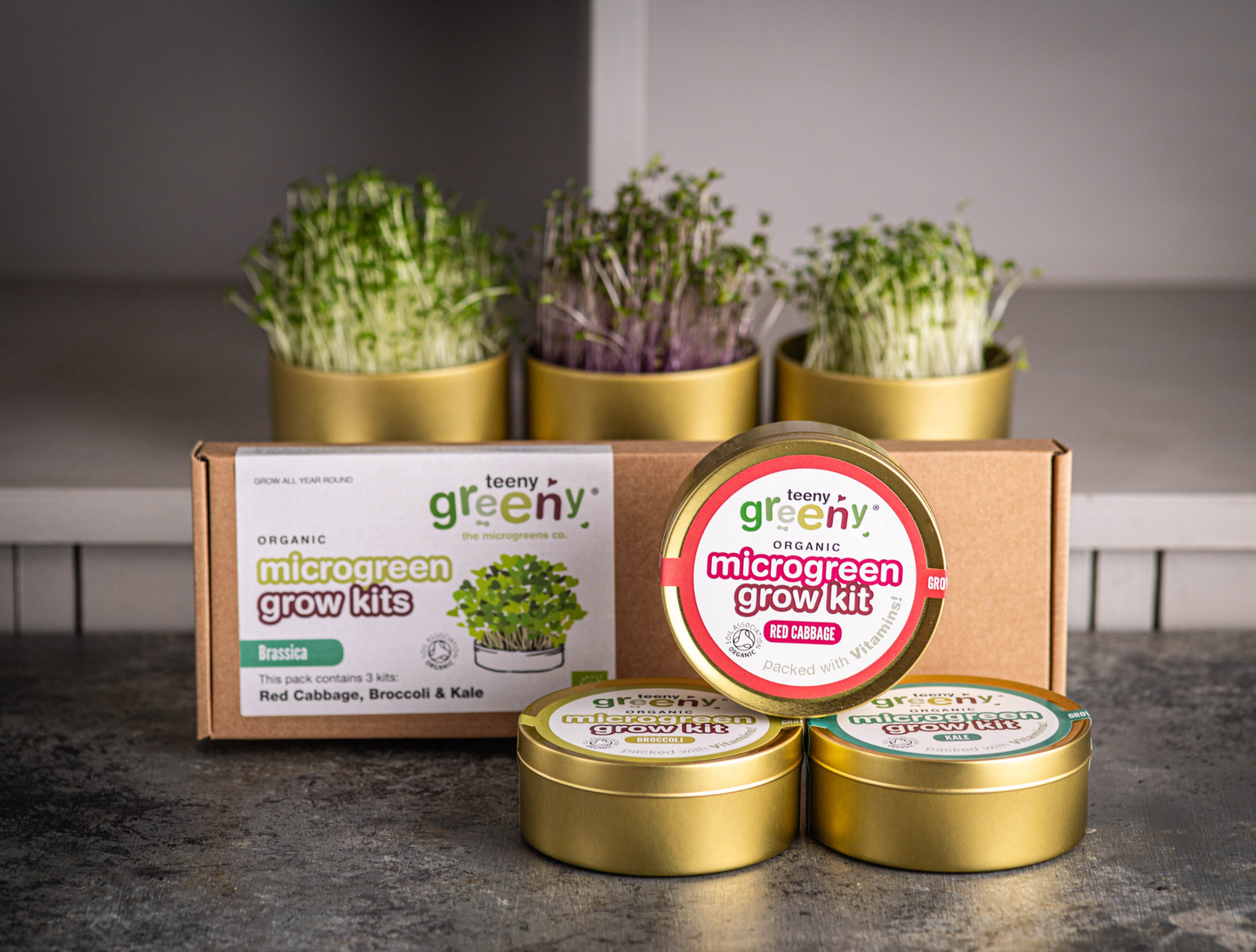 Tin Grow Kit Set | BRASSICA