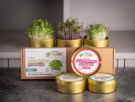 The Brassica Tin Grow Kit Bundle