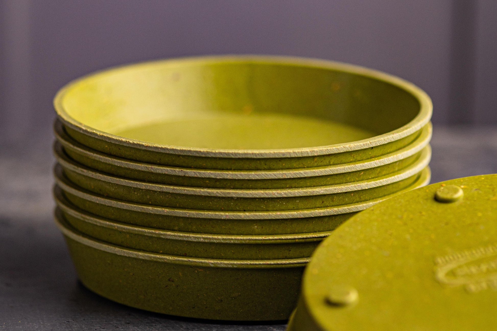 set of Green Bamboo plastic free tray for growing microgreens teeny greeny
