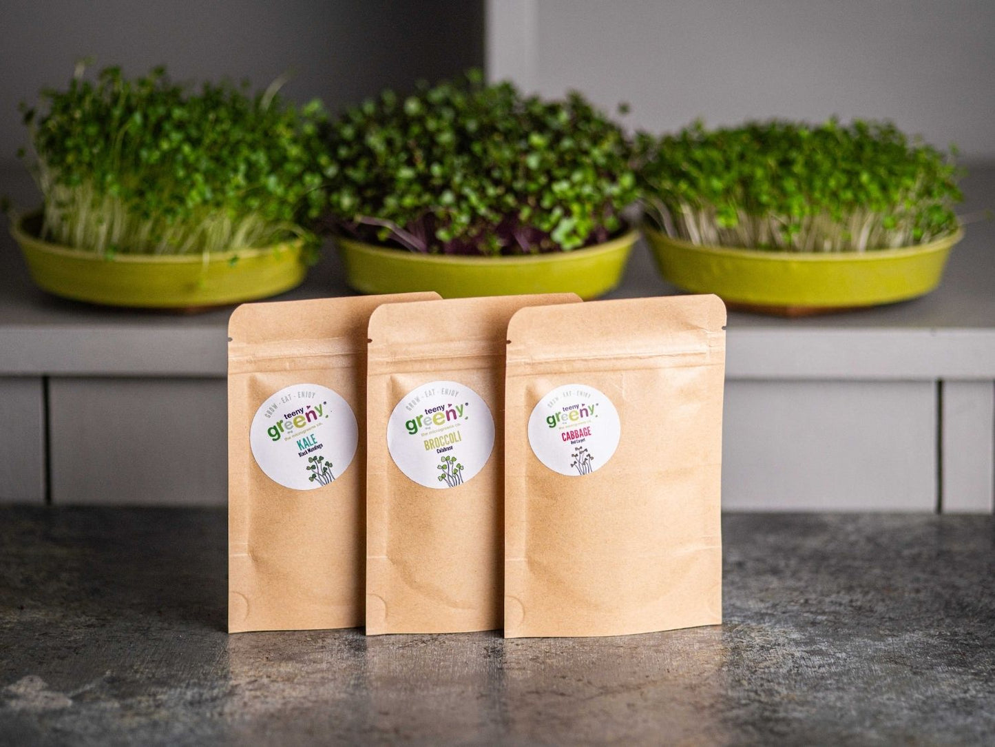 Brassica microgreen seed collection by Teeny Greeny