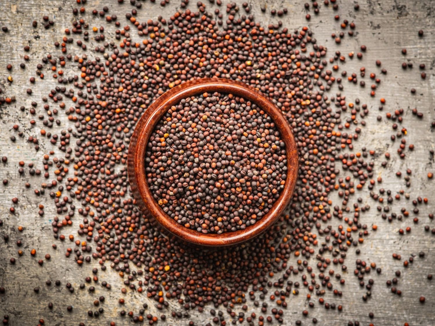 Organic broccoli microgreen seeds by Teeny Greeny UK