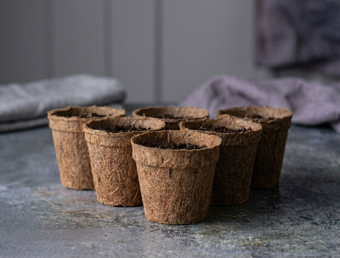 Biodegradable Coir Pots | Pack of 5