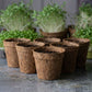 Biodegradable Coir Pots | Pack of 5