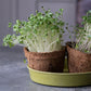 Biodegradable Coir Pots | Pack of 5