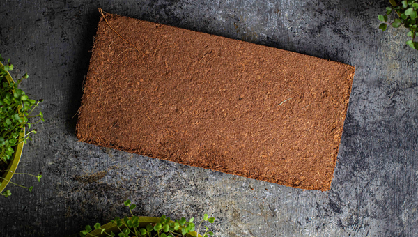 Organic Peat-Free Coir