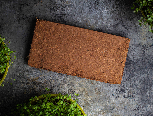 Organic Peat-Free Coir