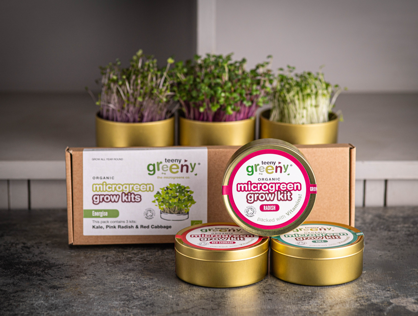 Tin Grow Kit Set | ENERGISE