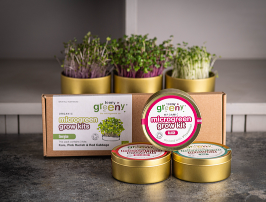 The Energise Tin Grow Kit Bundle
