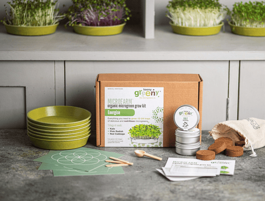 Microgreen Grow Kit | ENERGISE