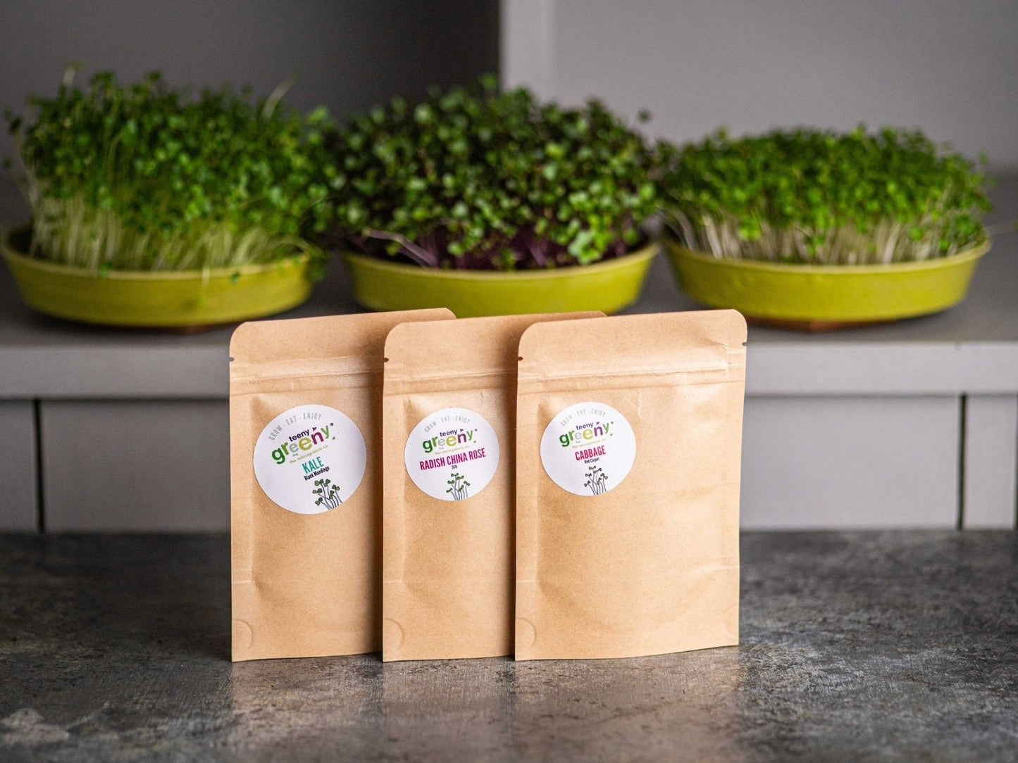 Energise microgreen seed set for energy and focus