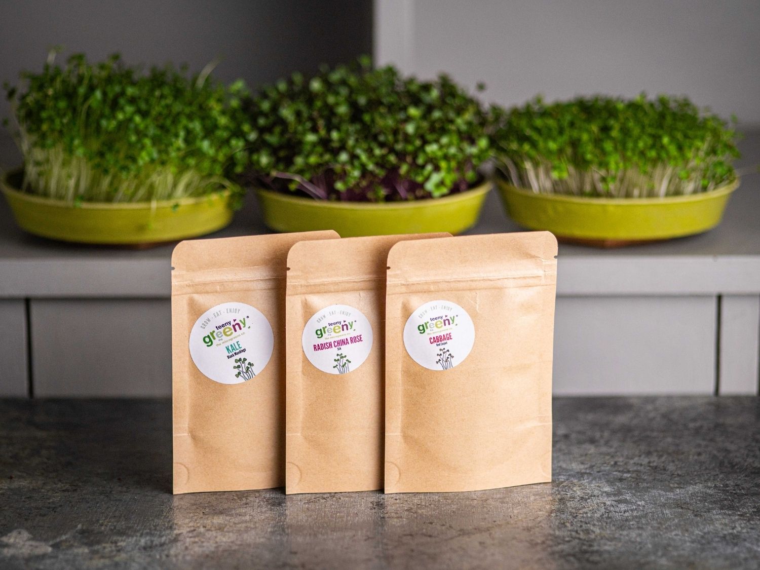 Energise microgreen seed set for energy and focus