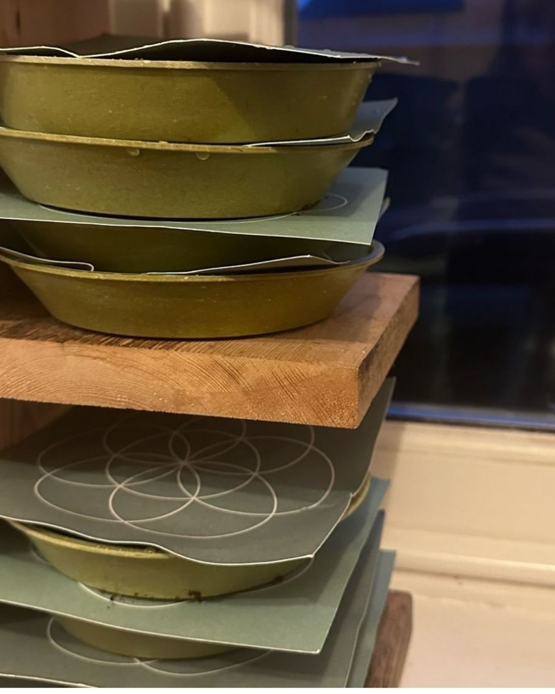 How_to_grow_microgreens_uk_step_4