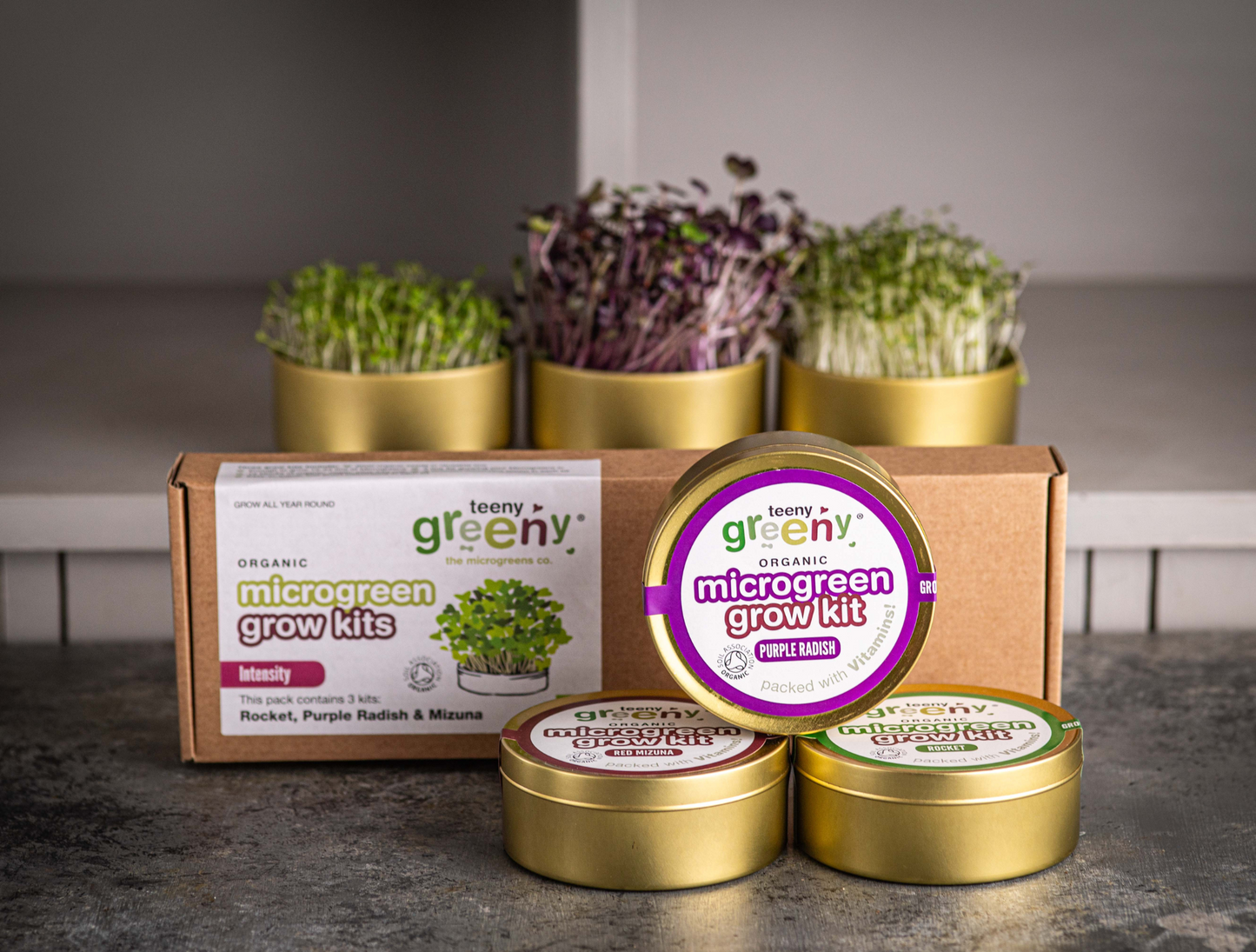 Tin Grow Kit Set | INTENSITY